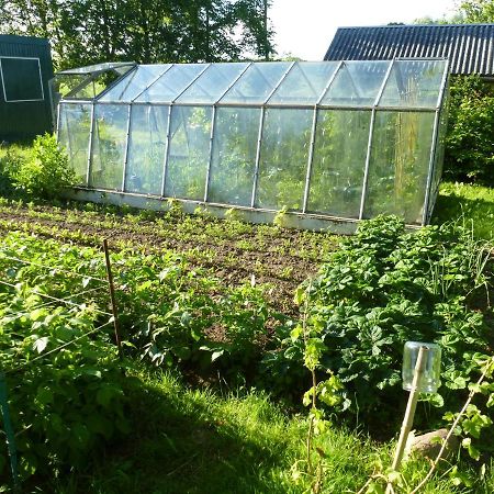 Traumhaftes Luxus-Ferienhaus Warnkenhagen  Eksteriør bilde